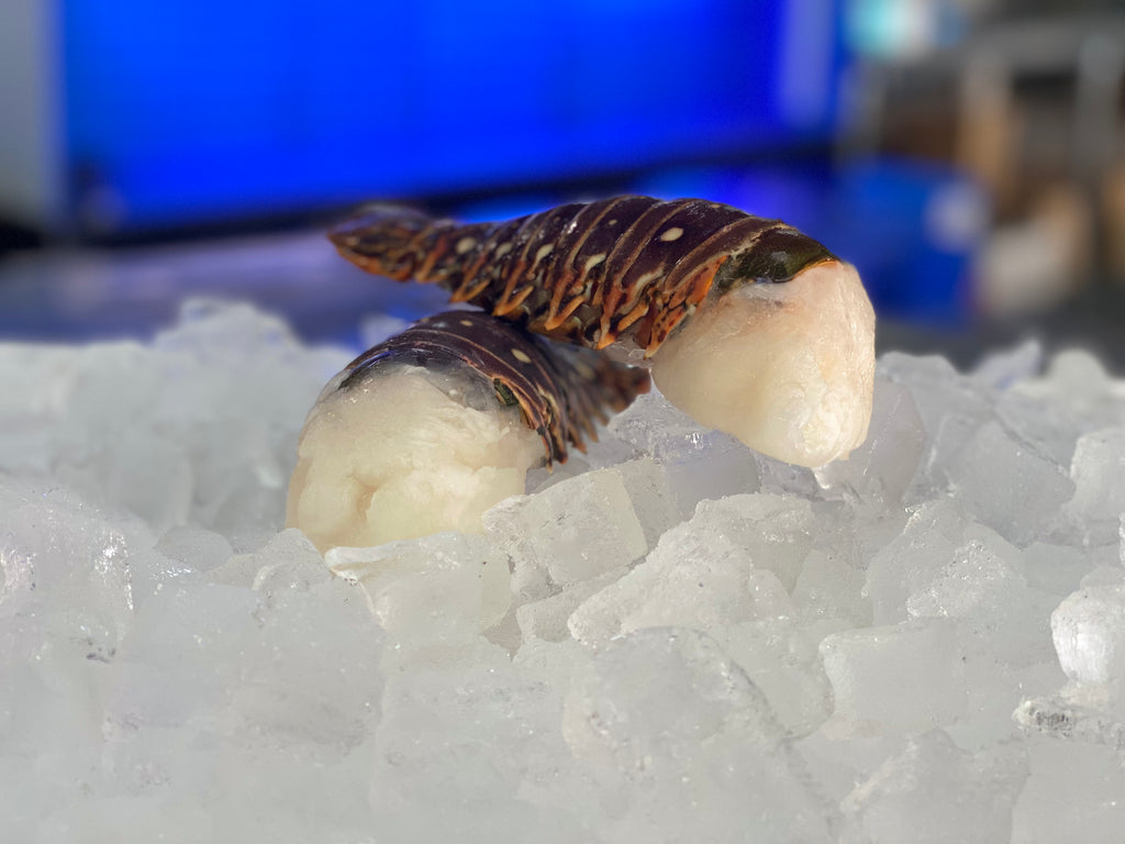 Warm Water Lobster Tail, Wild, Frozen