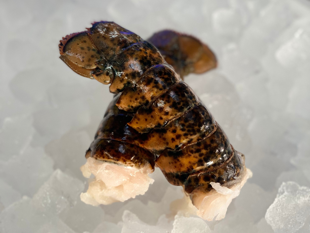 Cold Water Lobster Tail, Wild, Frozen