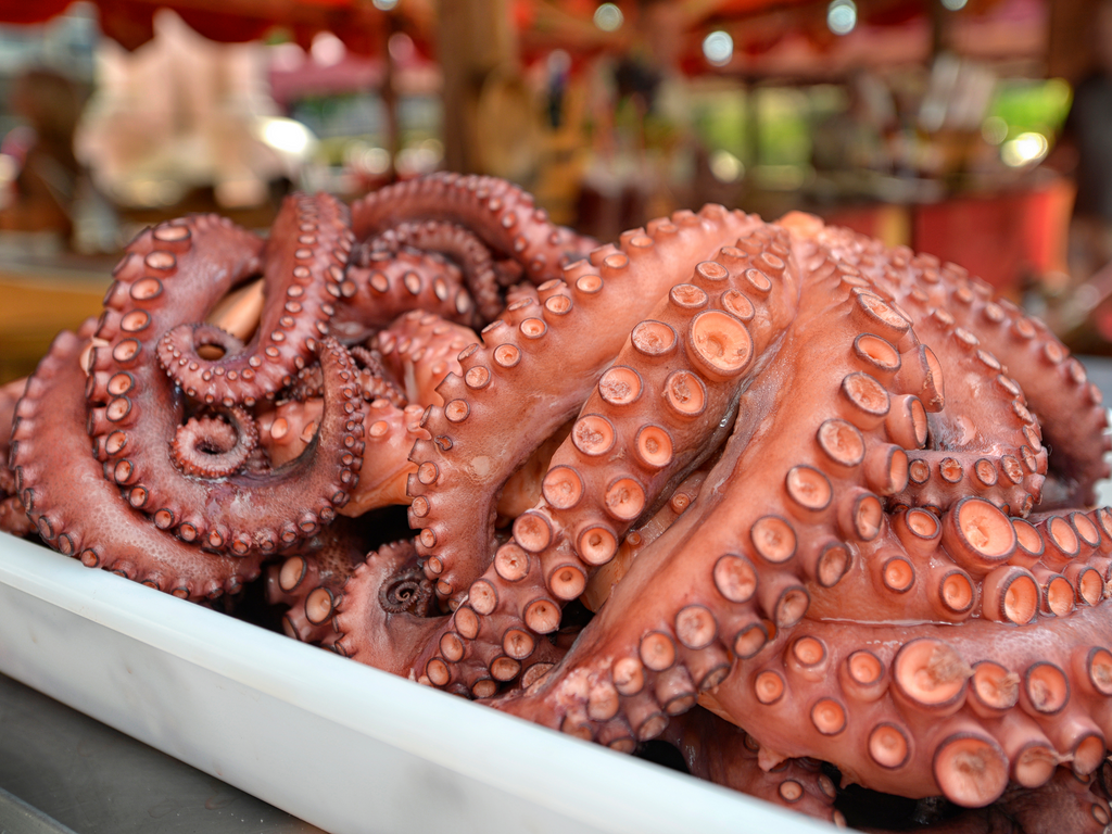 Cooked Whole Medium Octopus, Frozen