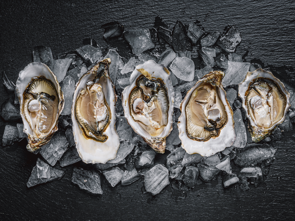 Medium Live Pacific Oysters