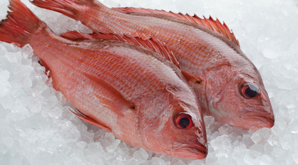 Whole Mexican Red Snapper