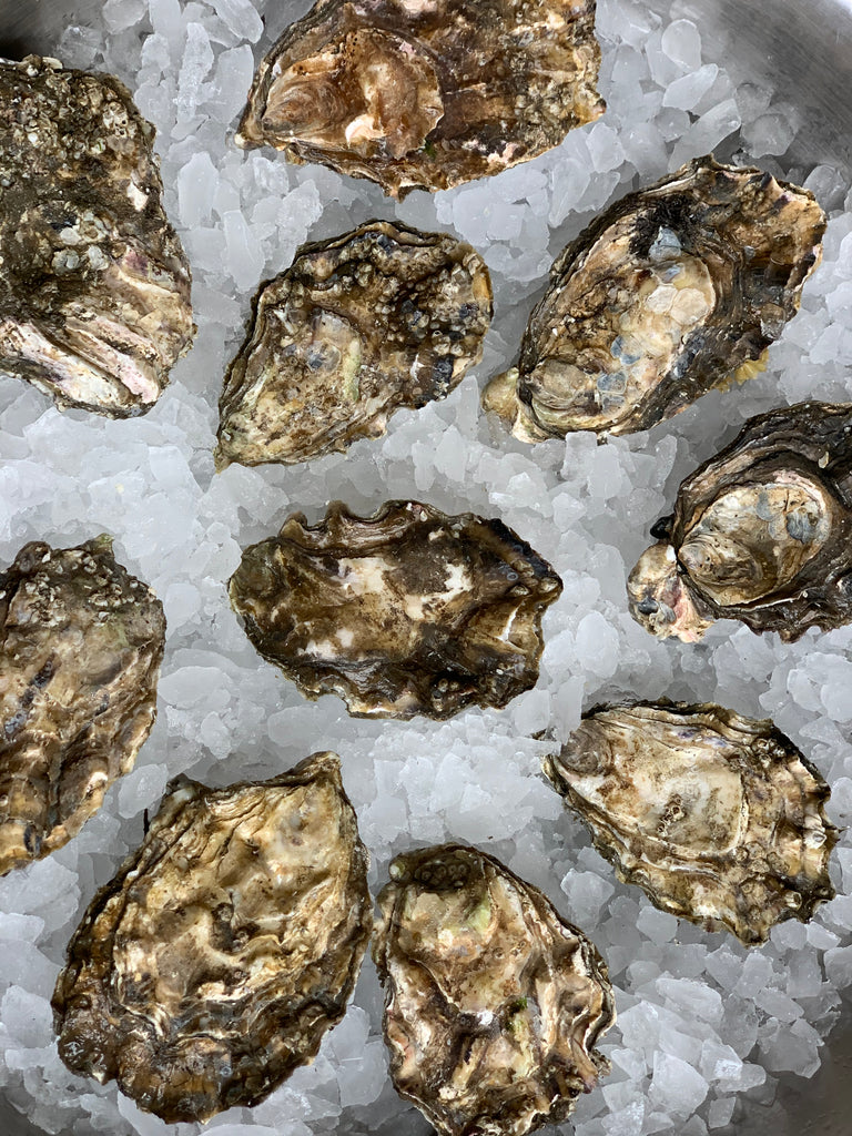 Taylor Washington Oyster Dozen