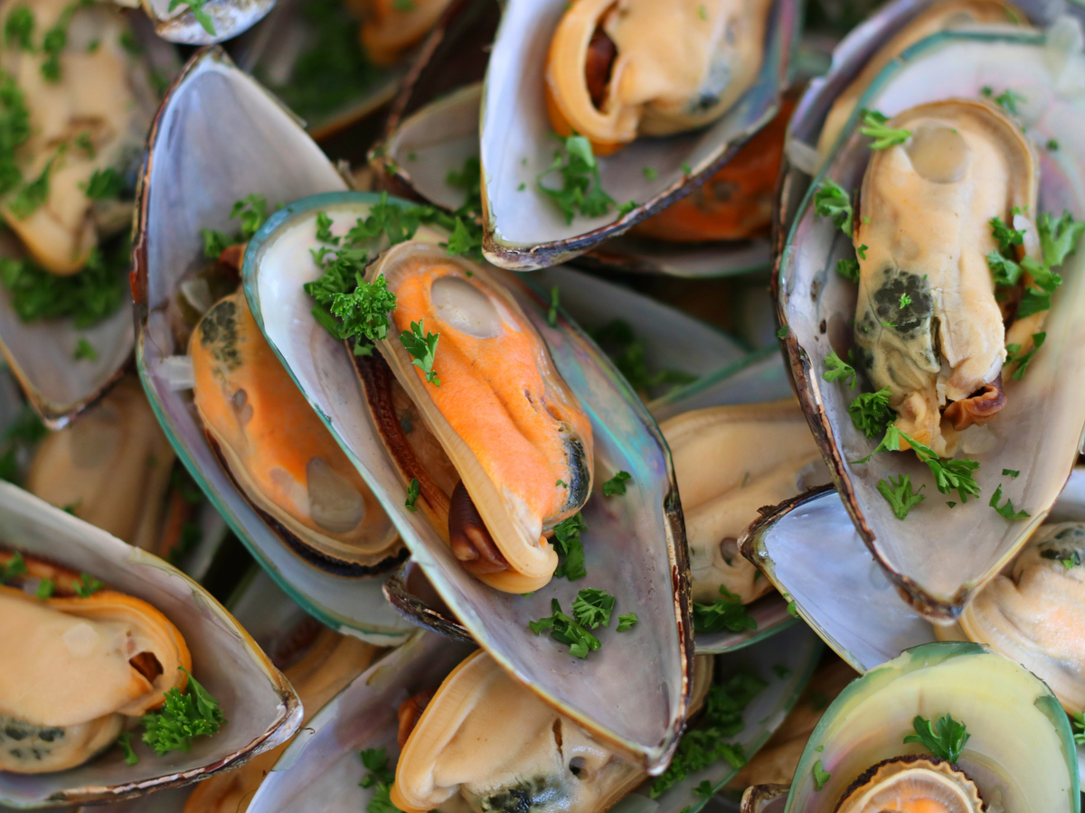 Half Shell Musse New Zealand Half Shell Mussels, Frozen – Goldfish Seafood Market