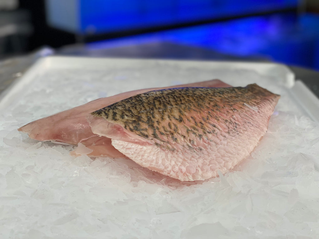 Fish – Goldfish Seafood Market