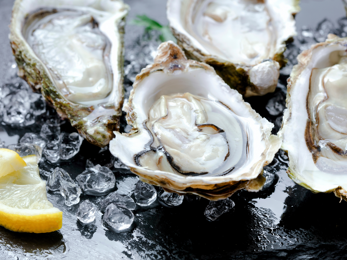 Live New Zealand Oysters | Fresh, Responsibly Caught Seafood Delivered ...