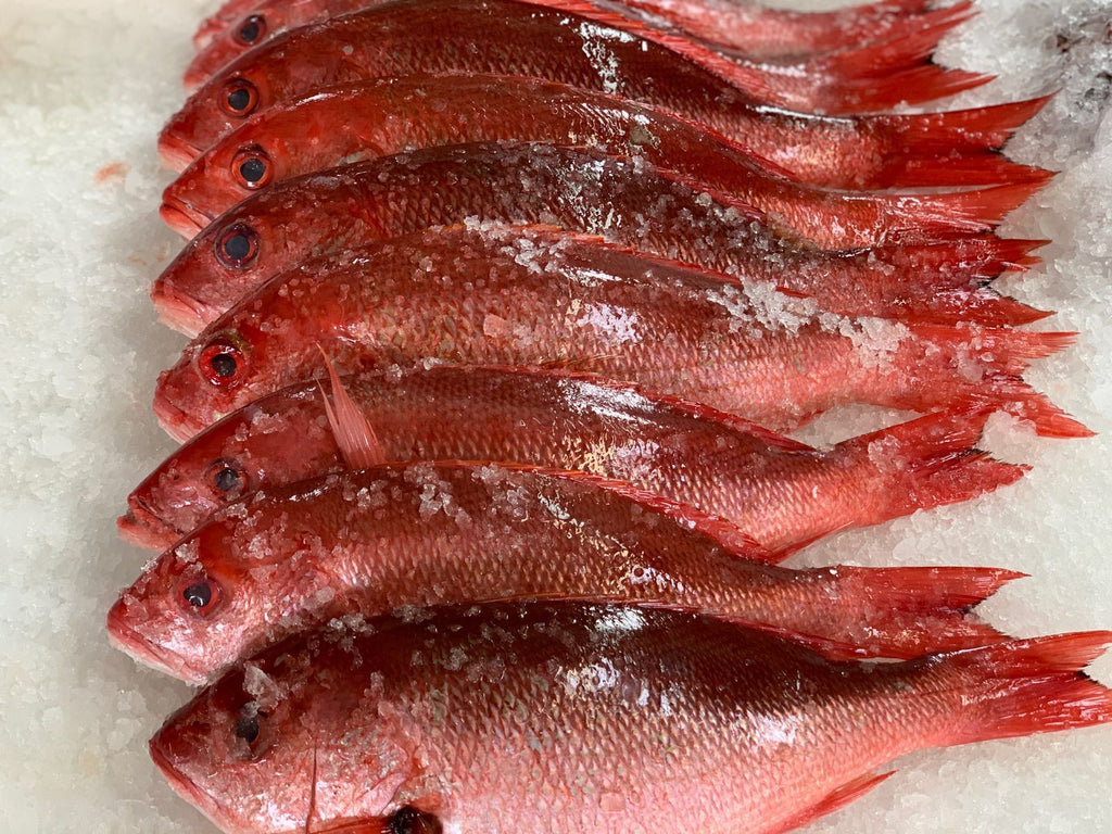 Whole Mexican Red Snapper